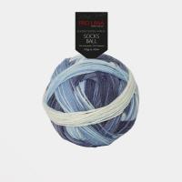 Pro Lana  Socks Ball 004